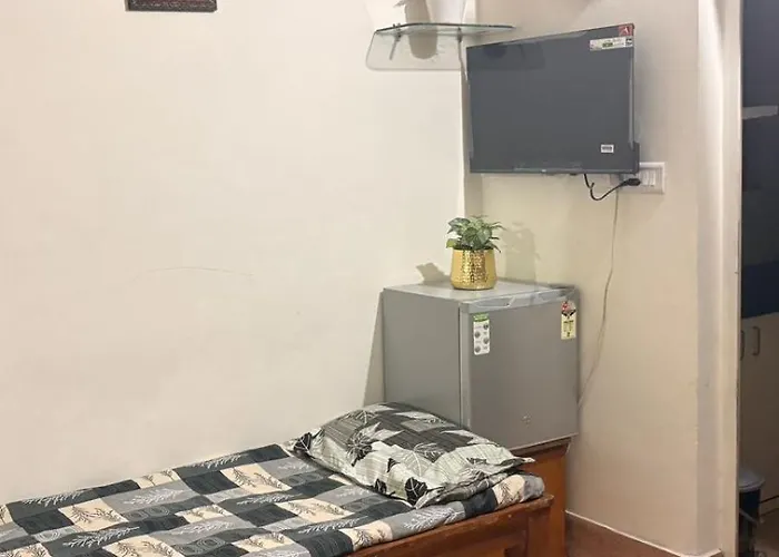 Single House With Garden For Your Stay